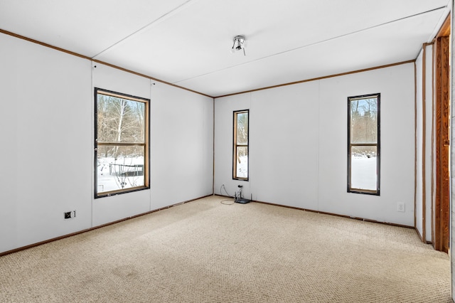 carpeted spare room with ornamental molding