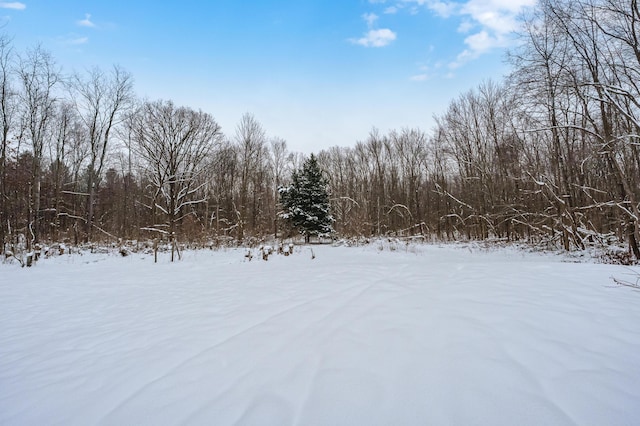 view of yard covered in snow