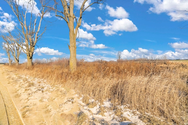 view of landscape with a rural view