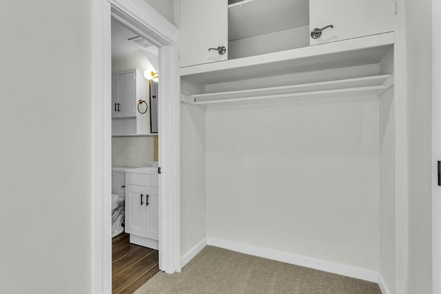 view of closet