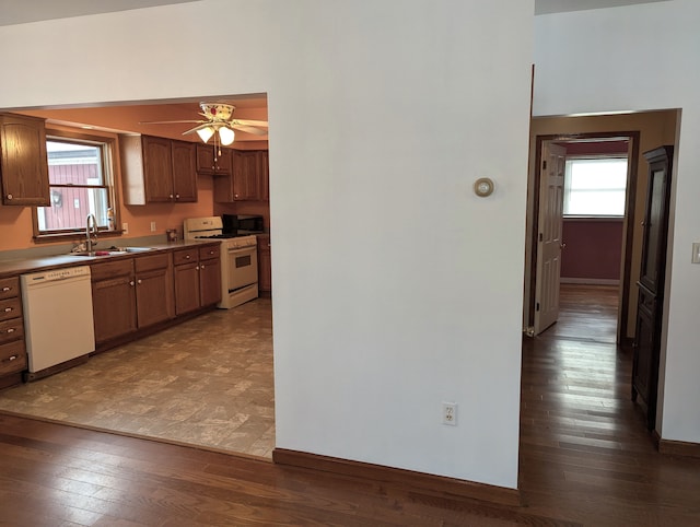 kitchen with sink, white appliances, a wealth of natural light, and ceiling fan