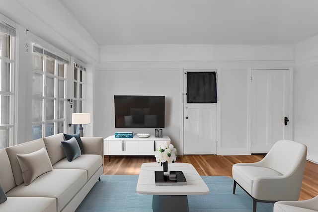 living room with wood-type flooring