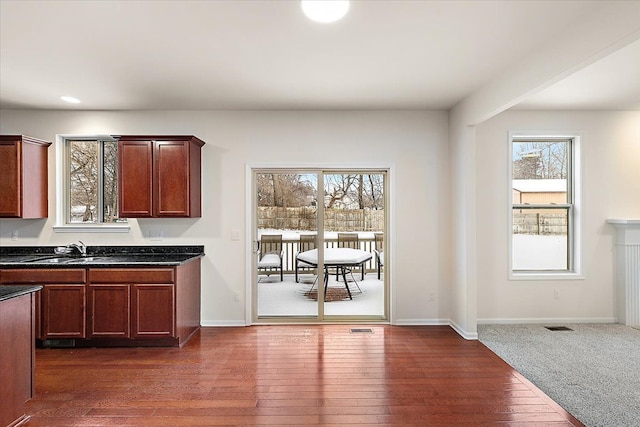 kitchen with dark hardwood / wood-style flooring, plenty of natural light, and sink