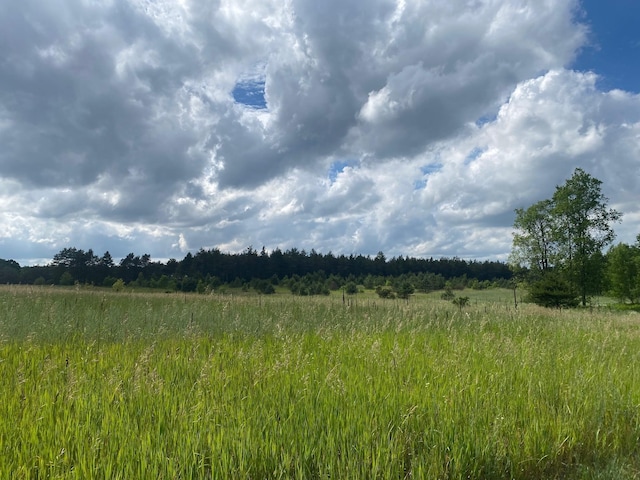 E 40 Road, Cadillac, MI 49601 - photo 1