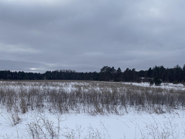 E 40 Road, Cadillac, MI 49601 - photo 10