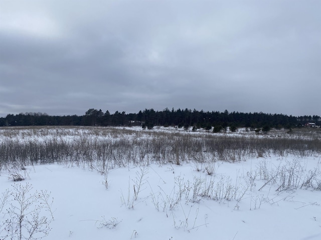 E 40 Road, Cadillac, MI 49601 - photo 11