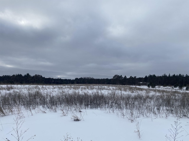 E 40 Road, Cadillac, MI 49601 - photo 12