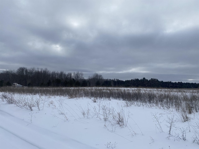 E 40 Road, Cadillac, MI 49601 - photo 13