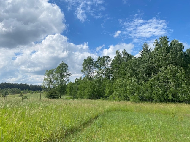 E 40 Road, Cadillac, MI 49601 - photo 2