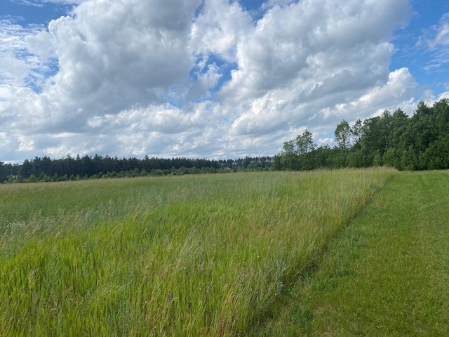 E 40 Road, Cadillac, MI 49601 - photo 3