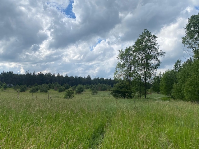E 40 Road, Cadillac, MI 49601 - photo 4