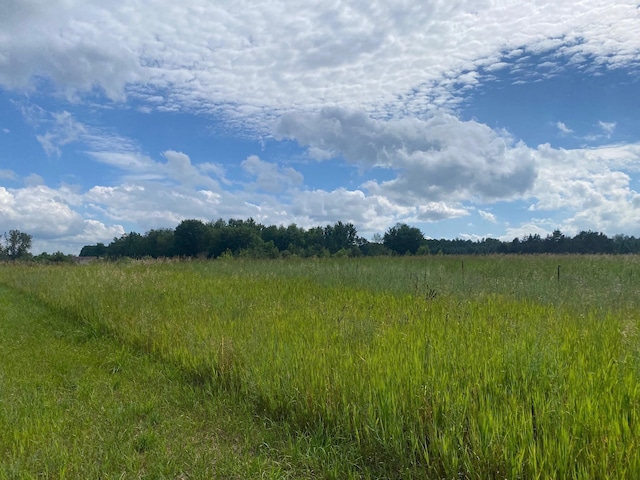 E 40 Road, Cadillac, MI 49601 - photo 5