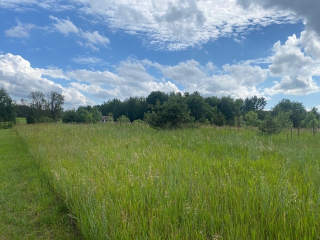 E 40 Road, Cadillac, MI 49601 - photo 6