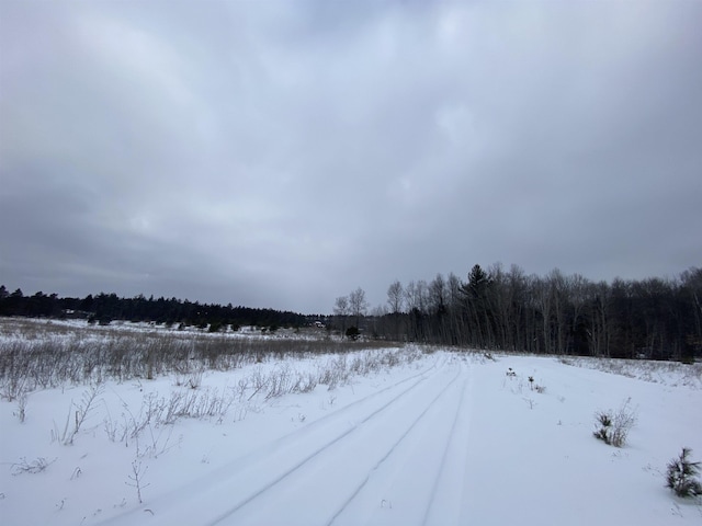 E 40 Road, Cadillac, MI 49601 - photo 8