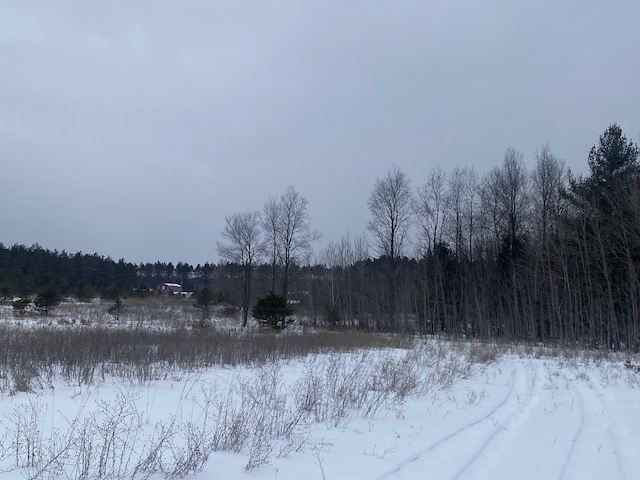 E 40 Road, Cadillac, MI 49601 - photo 9