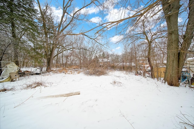 view of yard covered in snow