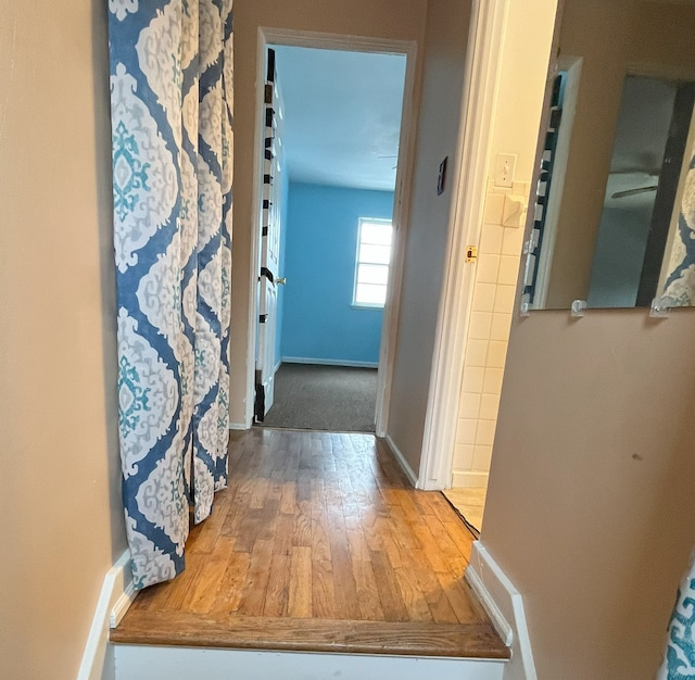 hallway with hardwood / wood-style flooring