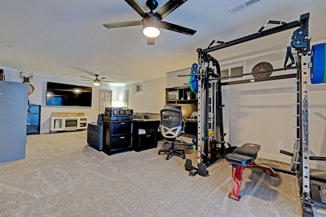 workout area featuring ceiling fan and carpet