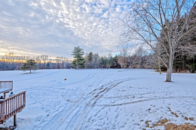 view of yard covered in snow