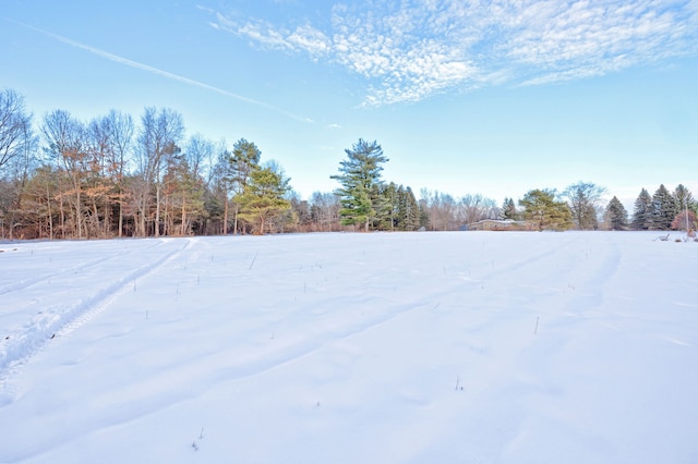 view of snowy yard