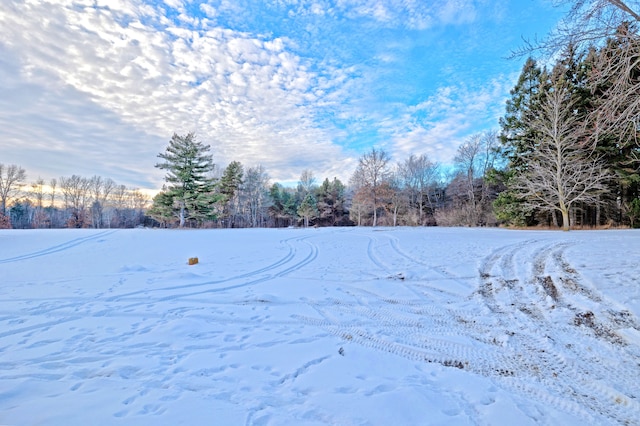 view of yard layered in snow