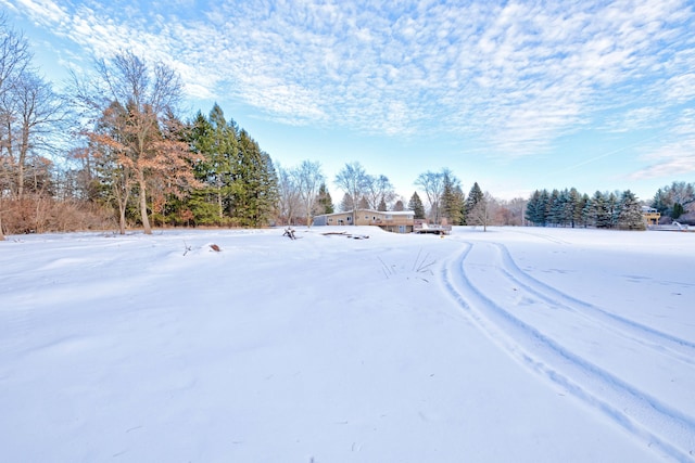 view of yard covered in snow