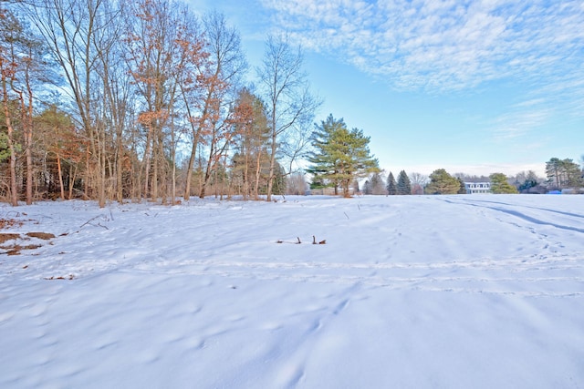 view of yard covered in snow