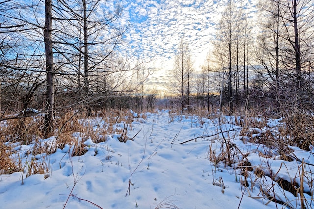 view of snow covered land