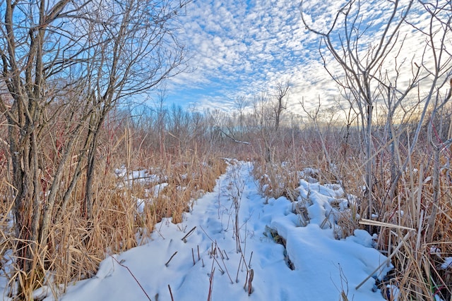 view of snowy landscape