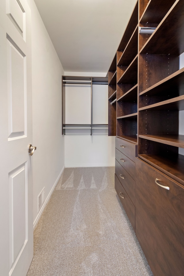 walk in closet with light carpet