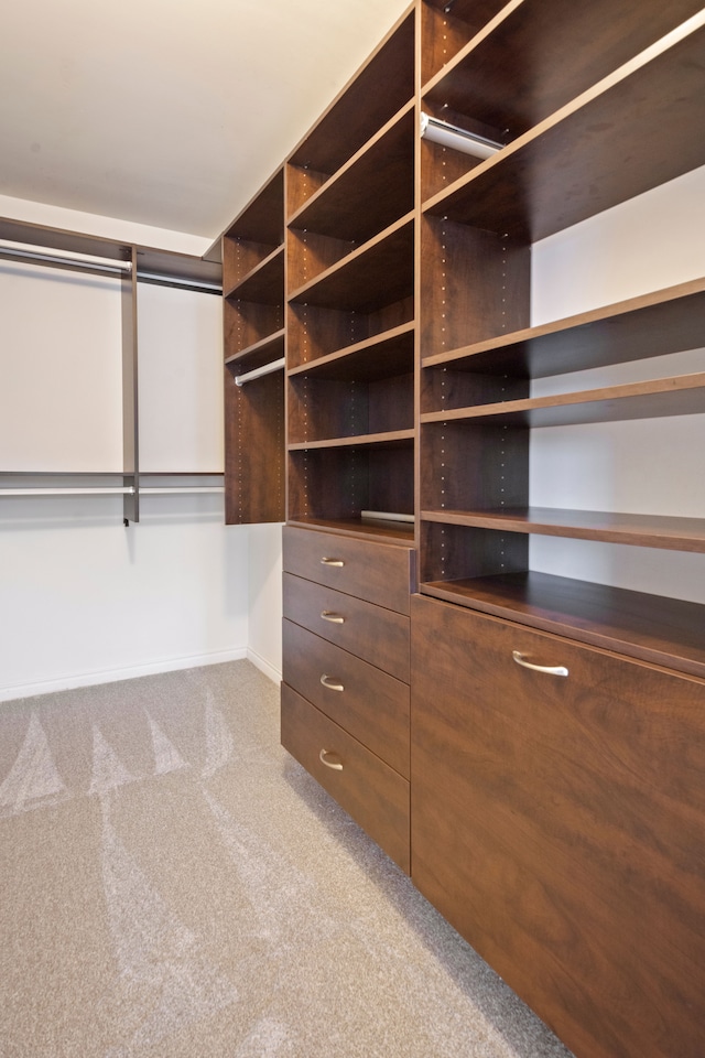 spacious closet featuring carpet