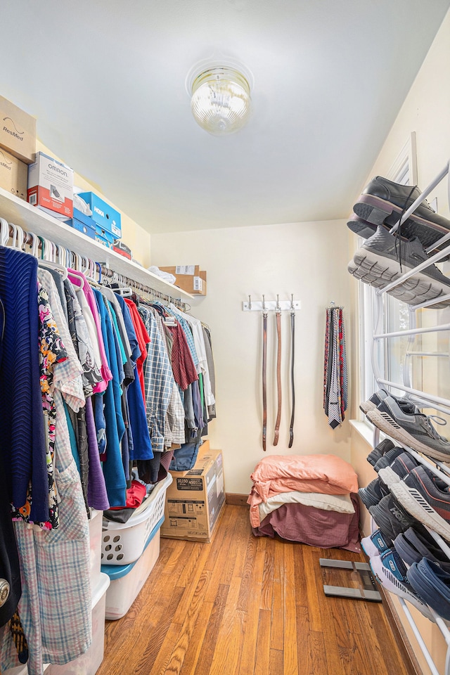 walk in closet with hardwood / wood-style floors