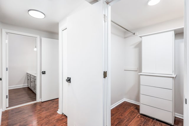 spacious closet with dark hardwood / wood-style flooring