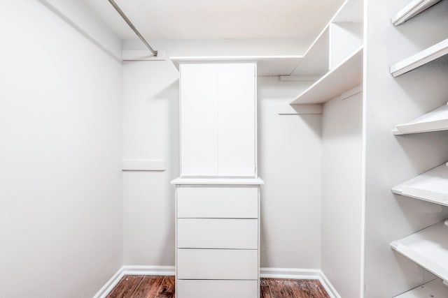 spacious closet featuring dark wood-type flooring