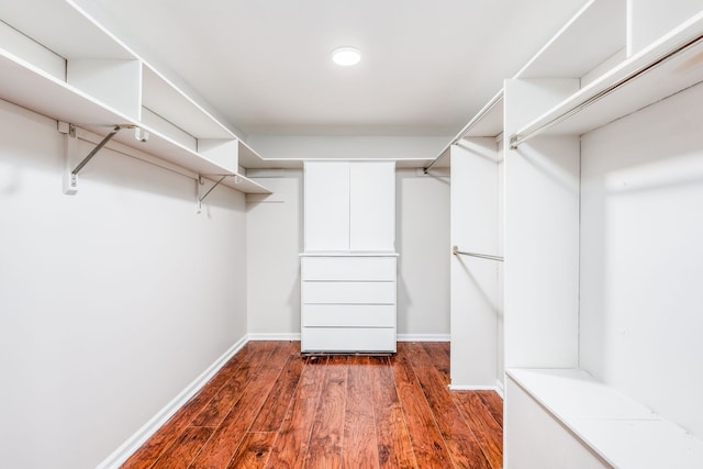 walk in closet featuring dark hardwood / wood-style flooring