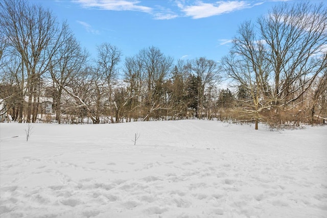 view of yard covered in snow