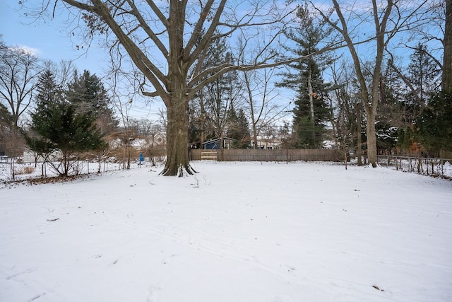 view of yard covered in snow