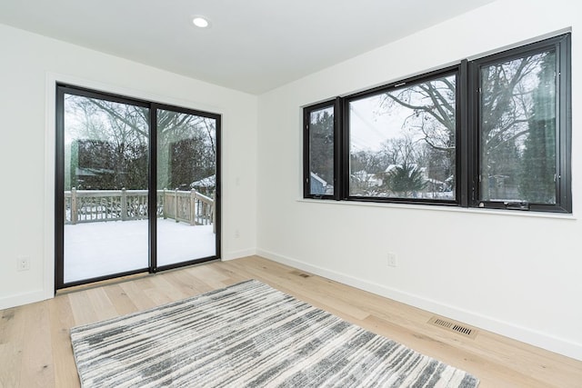 spare room featuring wood-type flooring