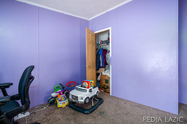 carpeted home office with ornamental molding and a textured ceiling