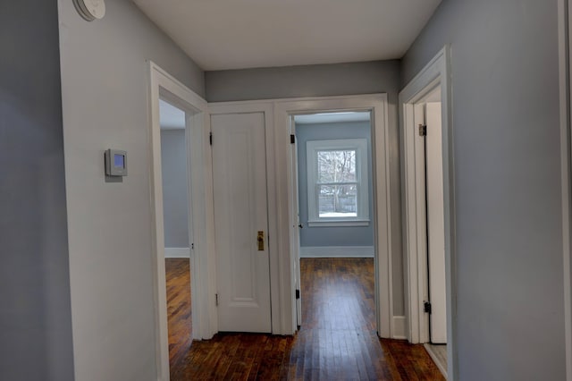 hallway featuring dark hardwood / wood-style flooring