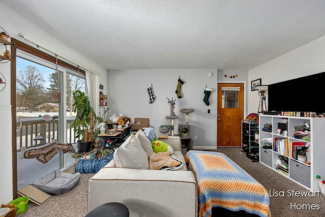 living room with a textured ceiling and carpet flooring