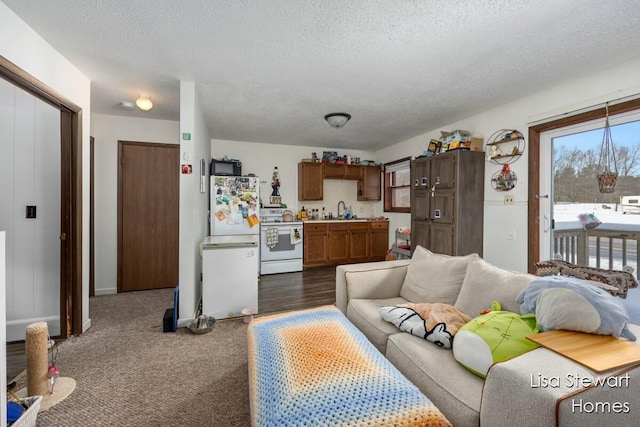 living room featuring a textured ceiling, dark colored carpet, and sink