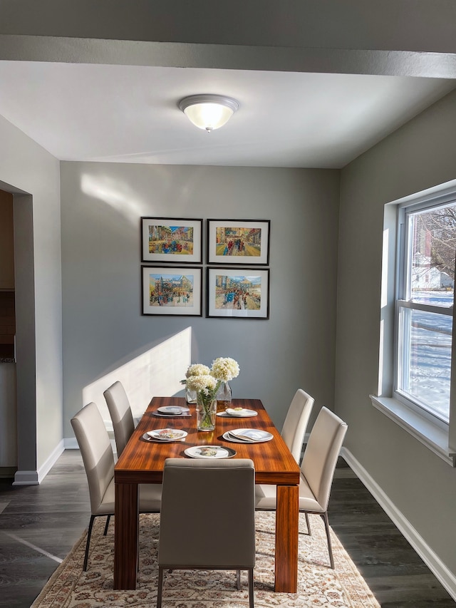 dining room featuring dark hardwood / wood-style floors