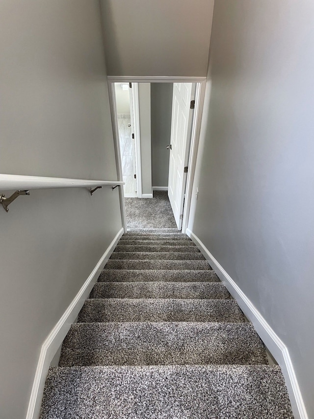 stairs with carpet flooring