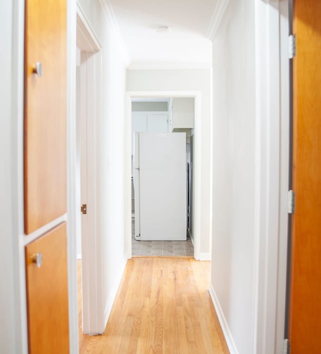 hallway featuring light hardwood / wood-style flooring and crown molding