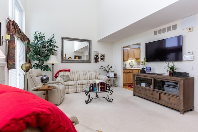 living room featuring light colored carpet