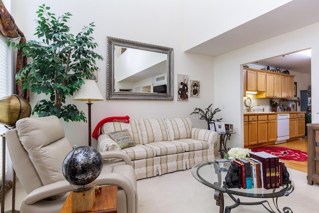 living room featuring sink