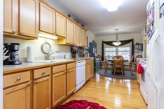 kitchen featuring light hardwood / wood-style floors, sink, white appliances, and decorative light fixtures