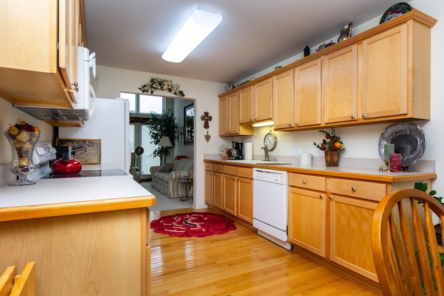 kitchen with light hardwood / wood-style floors, sink, and dishwasher