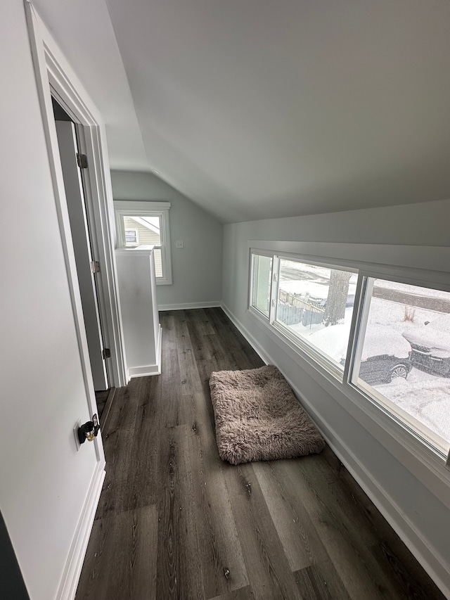 additional living space with dark wood finished floors, lofted ceiling, and baseboards